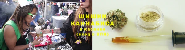 дурь Нея
