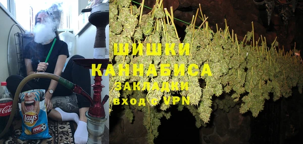 дурь Нея